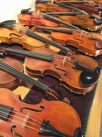Tampa Suzuki Strings