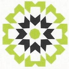 TCGWORKS / Tampa Connect Group Inc