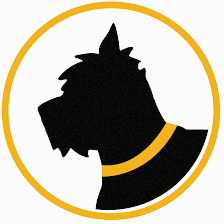 Golden Collar Grooming