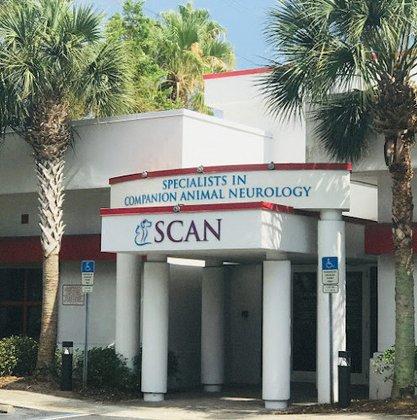 Specialists in Companion Animal Neurology (SCAN) - Clearwater