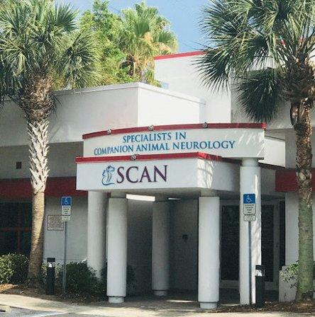 Specialists in Companion Animal Neurology (SCAN) - Clearwater