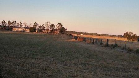 Boarshead Ranch