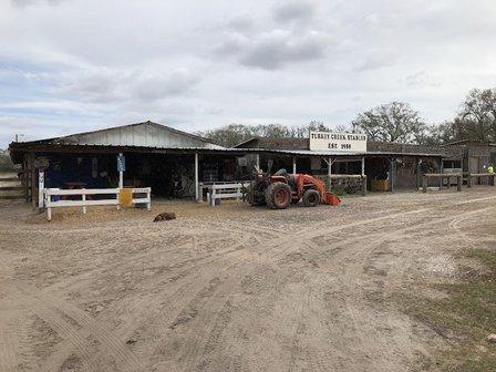 Turkey Creek Stables