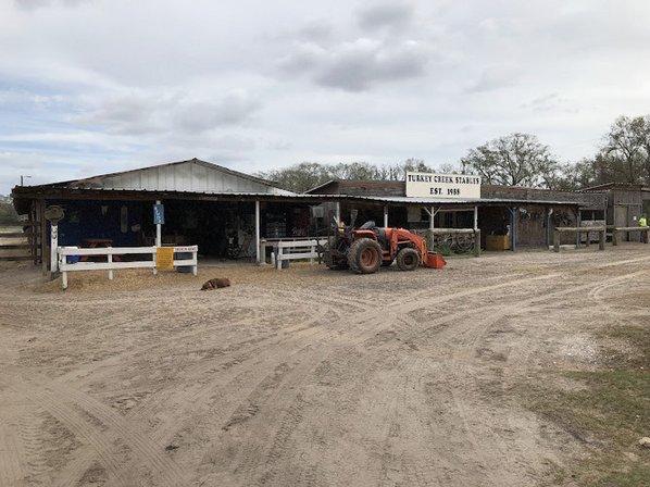 Turkey Creek Stables