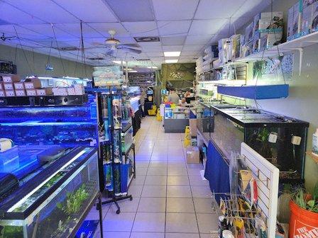 Coral Reef Aquariums