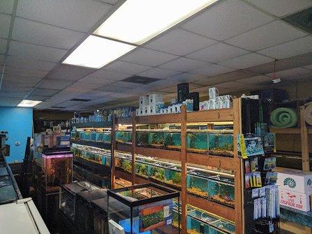 Westside Aquarium & Pets