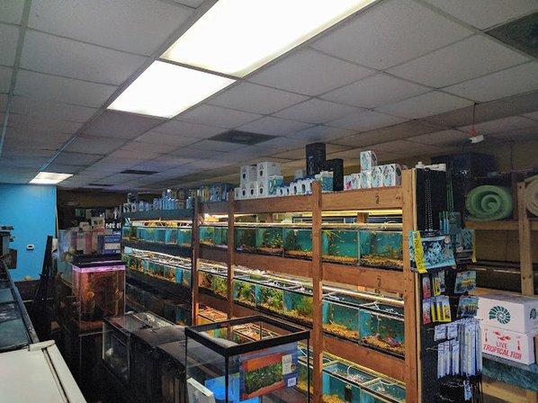 Westside Aquarium & Pets