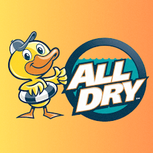 All Dry Services Tampa Bay