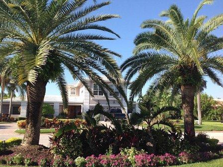 All Seasons Landscaping and Nursery