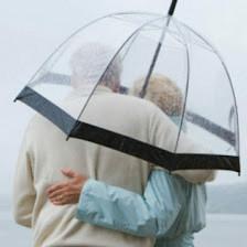 No Nonsense Insurance and Notary Solutions