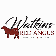 Watkins Red Angus