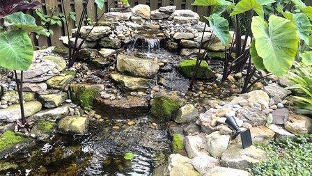 Koi Kompanion