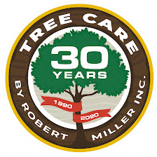 Tree Care by Robert Miller