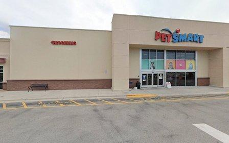 PetSmart Dog Training
