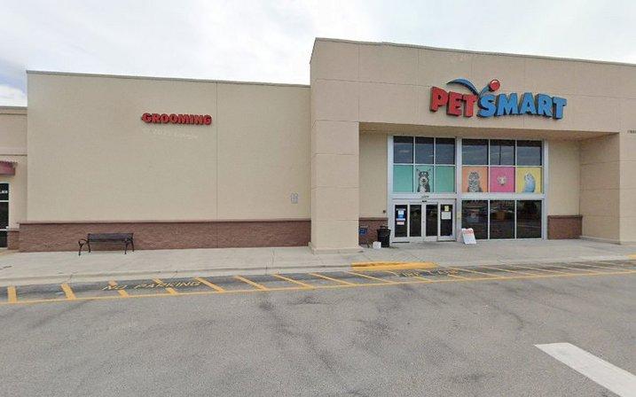 PetSmart Dog Training