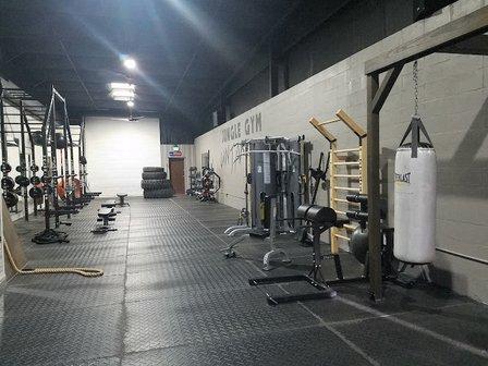 Jungle Gym