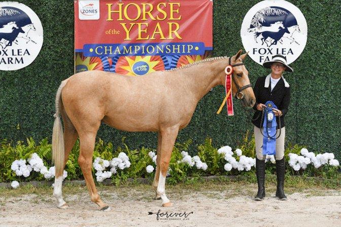 MK Sporthorses LLC
