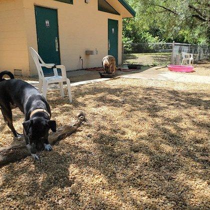 Carolyn Meeker Dog Park