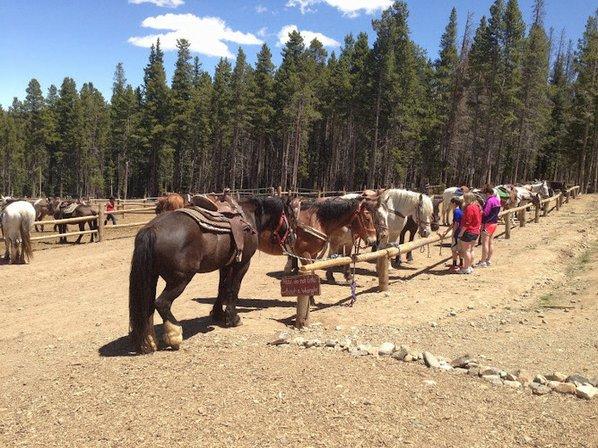 Equestrian Riding and Boarding, Inc.