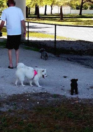 Kenwood Dog Park