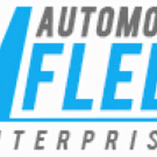 Automotive Fleet Enterprises Inc