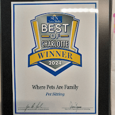 Where Pets are Family - Small Dogs (under 20lb) Boarding & Daycare