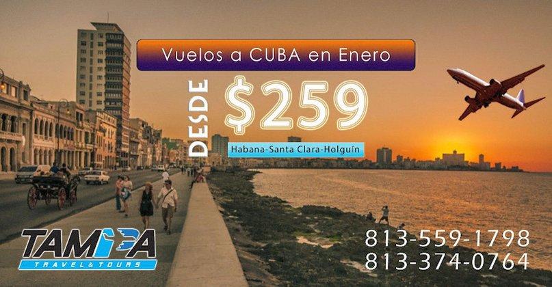 Tampa Travel & Tours