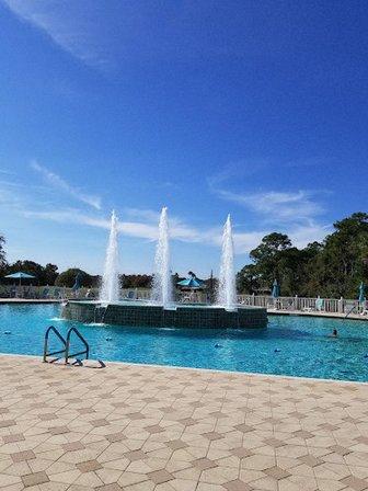Tampa Bay Community Association Inc