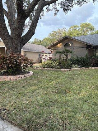 Tyger’s Lawn and Tree Service
