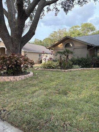 Tyger’s Lawn and Tree Service
