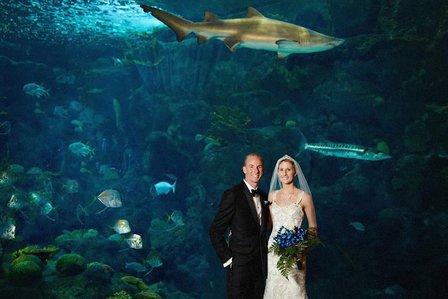 The Florida Aquarium