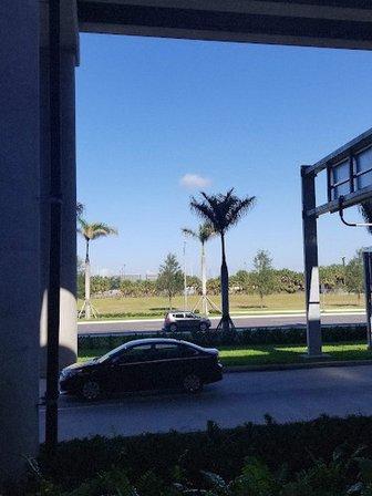 Ace Rent A Car