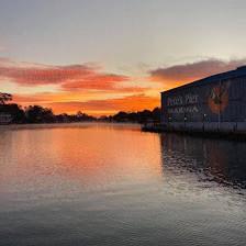 Go Local Manatee Tours