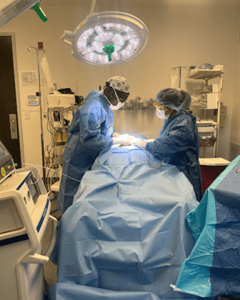 IBI Healthcare Institute
