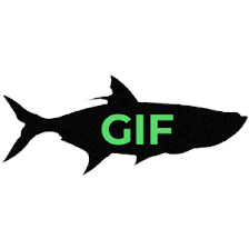 GOOD INSHORE FISHING CHARTERS