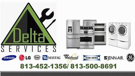 Delta Services Tampa Bay