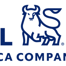 Merrill Lynch Wealth Management
