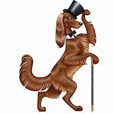 Dandy's Pet Grooming Inc.