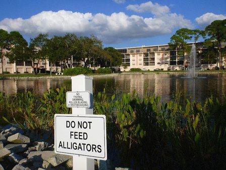 Pinellas Park Public Works