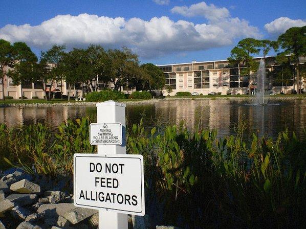 Pinellas Park Public Works
