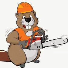 Beaver's Tree Service