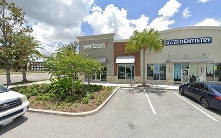 Verizon Business Services
