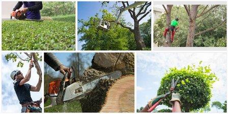 Brown's Tree Service