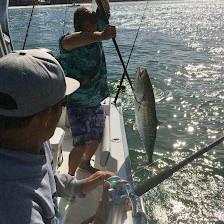 Salty Dog Charters