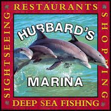 Hubbards Marina Dolphin Watching Tour