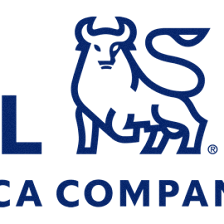 Merrill Lynch Wealth Management