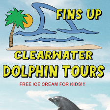 Fins Up Clearwater