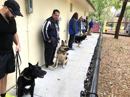 Maligators Dog Training