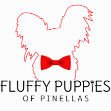 Fluffy Puppies of Pinellas Inc.