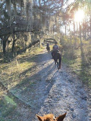 Miracle Equestrian LLC